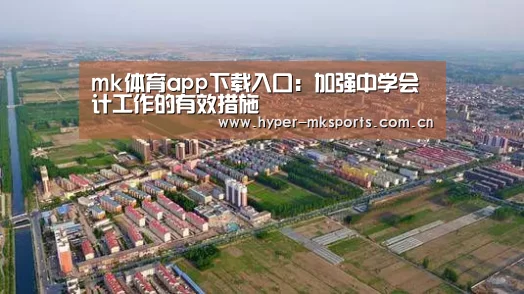 mk体育app下载入口:加强中学会计工作的有效措施(图3) mk体育app