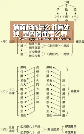 墙面起碱怎么彻底处理 室内墙面怎么养护.【mk体育下载】(图2) mk体育下载