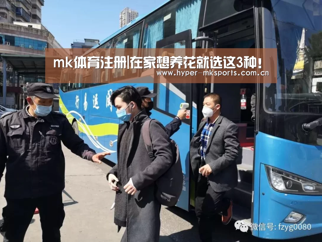 mk体育注册|在家想养花就选这3种!(图2) mk体育app