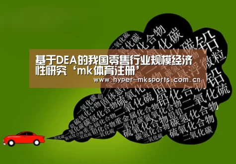 基于DEA的我国零售行业规模经济性研究‘mk体育注册’(图2) mk体育注册